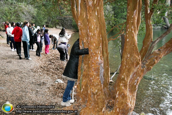 Foto Río Chachín (Guillermo Hermosilla)