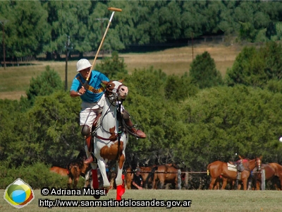 Foto Polo (Adriana Mussi)