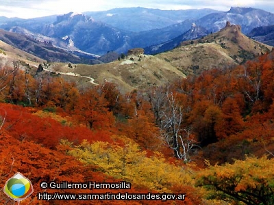 Foto Otoño en Paso Córdoba (Guillermo Hermosilla)