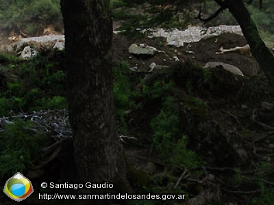 Panorámica 360º Río Pichi Traful (Santiago Gaudio)