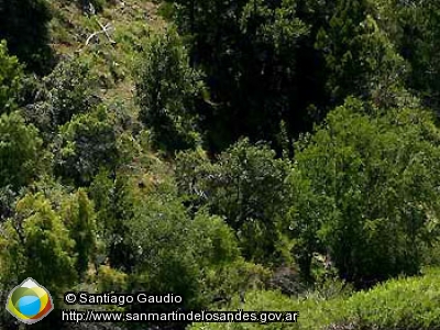 Foto Casa de Piedra (Santiago Gaudio)