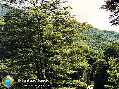 Foto Cascada Chachín (Santiago Gaudio)