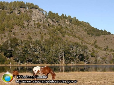 Foto Laguna Rosales (Santiago Gaudio)