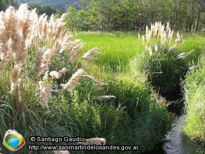 Foto Termas de Lahuen-Có (Santiago Gaudio)