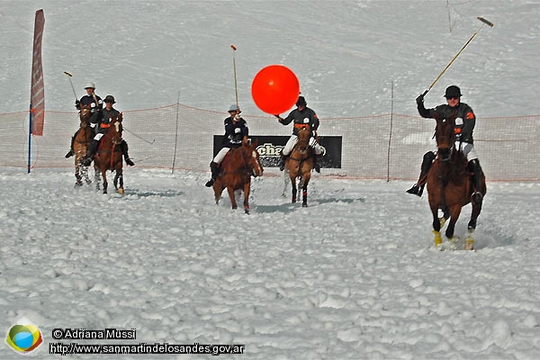 Foto Polo sobre nieve (Adriana Mussi)