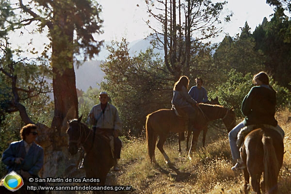 Foto Cabalgata por bosque (San Martín de los Andes)