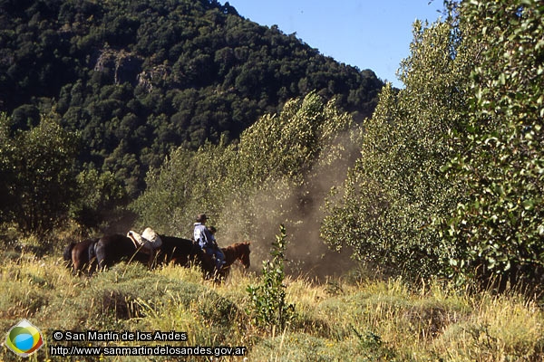 Foto Excursión a caballo (San Martín de los Andes)