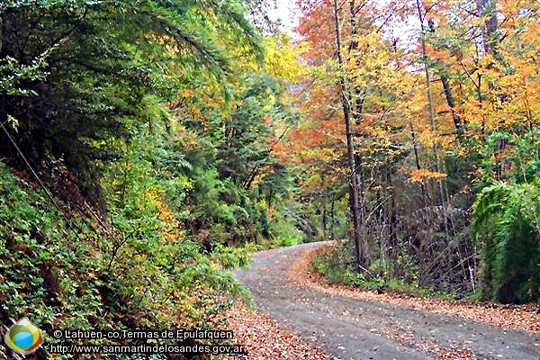 Foto Camino Otoñal (Lahuen-co,Termas de Epulafquen)