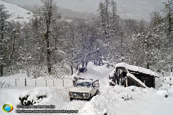 Foto Sendero invernal (Guillermo Hermosilla)