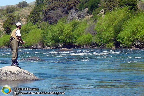 Foto Pesca en el río Chimehuín (Pablo Etchevers)