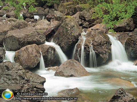 Fondo de Pantalla Arroyo de montaña (Santiago Gaudio)