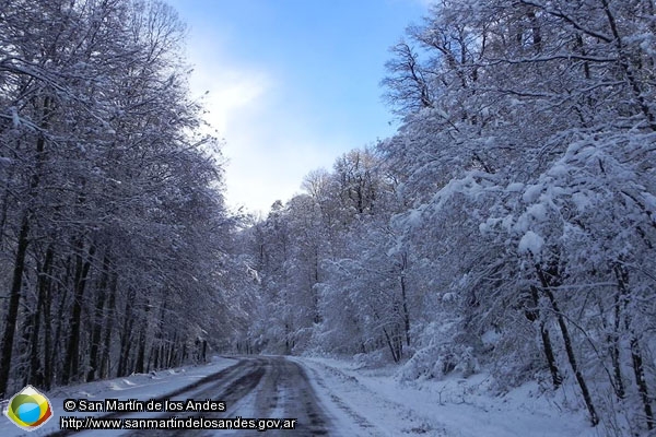 Foto Camino nevado (San Martín de los Andes)