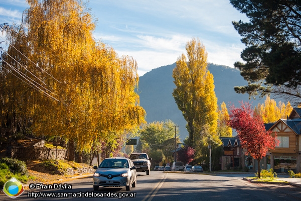 Foto Paisaje otoñal (Efrain Dávila)