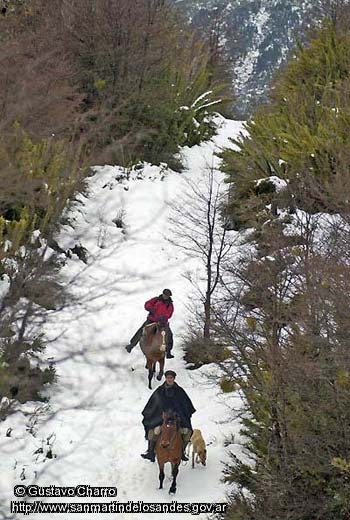 Foto Cabalgata invernal (Gustavo Charro)