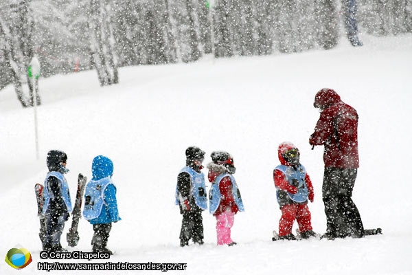 Picture Jardín de nieve (Cerro Chapelco)