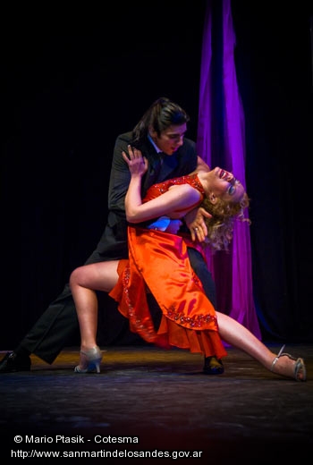 Picture Festival de Tango ()