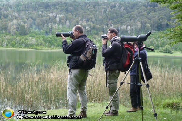 Foto Observando aves ()