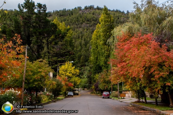 Foto ciudad #otoño (Federico Soto)