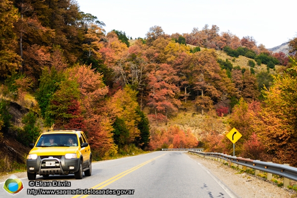 Foto Otoño (Efrain Dávila)