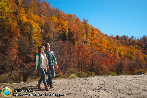 Foto Tonalidades de otoño (Efrain Dávila)