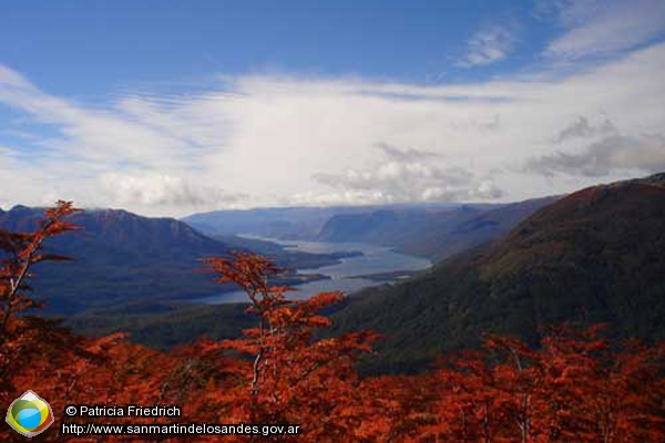 Foto Colores de otoño (Patricia Friedrich)