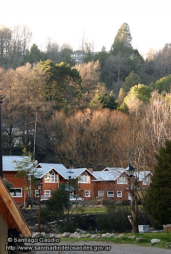 Foto Arquitectura y bosque (Santiago Gaudio)