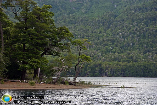 Foto Lago Epulafquen (Santiago Gaudio)