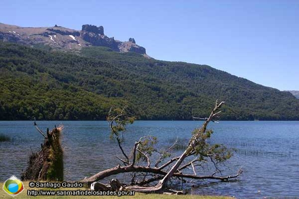 Foto Lago Falkner (Santiago Gaudio)