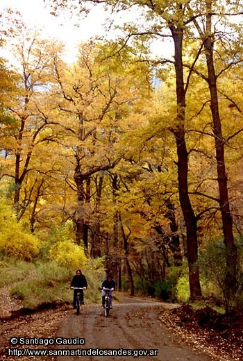 Foto Otoño (Santiago Gaudio)