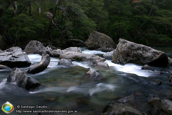 Foto Río Pichi Traful (Santiago Gaudio)