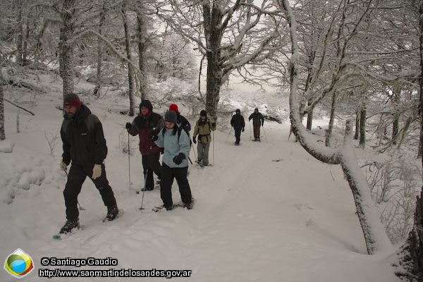 Picture Caminata invernal (Santiago Gaudio)