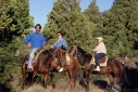 Foto Cabalgata por el monte (San Martín de los Andes)