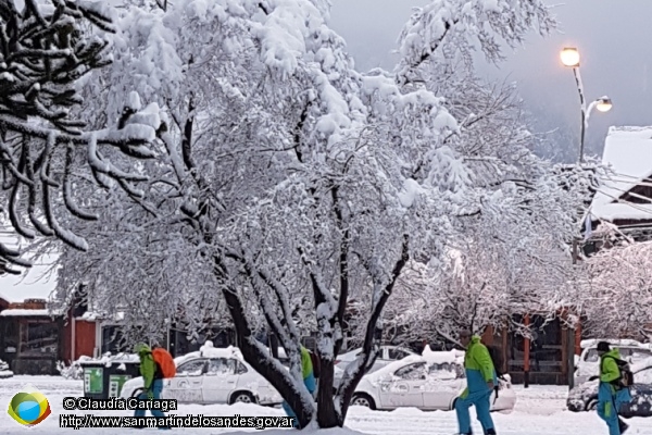 Foto Nieve en la ciudad  ()