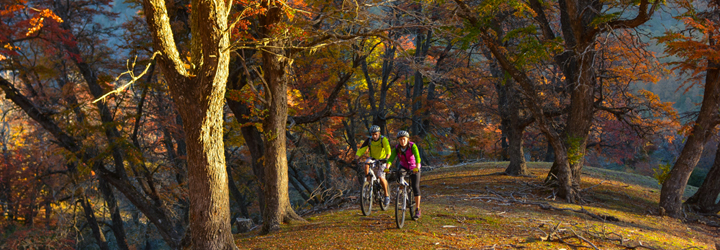 Bicicleta de montaña - Efrain Dávila