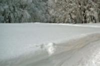 Foto Huskies en la nieve (Adriana Mussi)