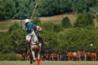 Foto Polo (Adriana Mussi)