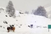 Foto Camino a Chapelco (Guillermo Hermosilla)