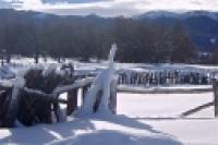 Foto Campo nevado (Guillermo Hermosilla)