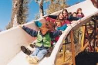 Foto Toboganes y pasarelas (Cerro Chapelco)