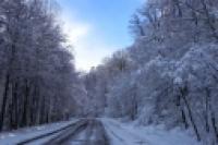 Foto Camino nevado (San Martín de los Andes)