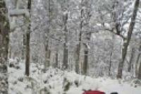 Foto Caminata con raquetas de nieve (Gustavo Charro)