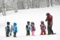 Foto Jardín de nieve (Cerro Chapelco)