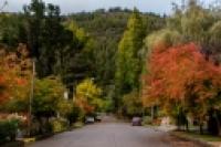 Foto ciudad #otoño (Federico Soto)