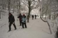 Foto Caminata invernal (Santiago Gaudio)